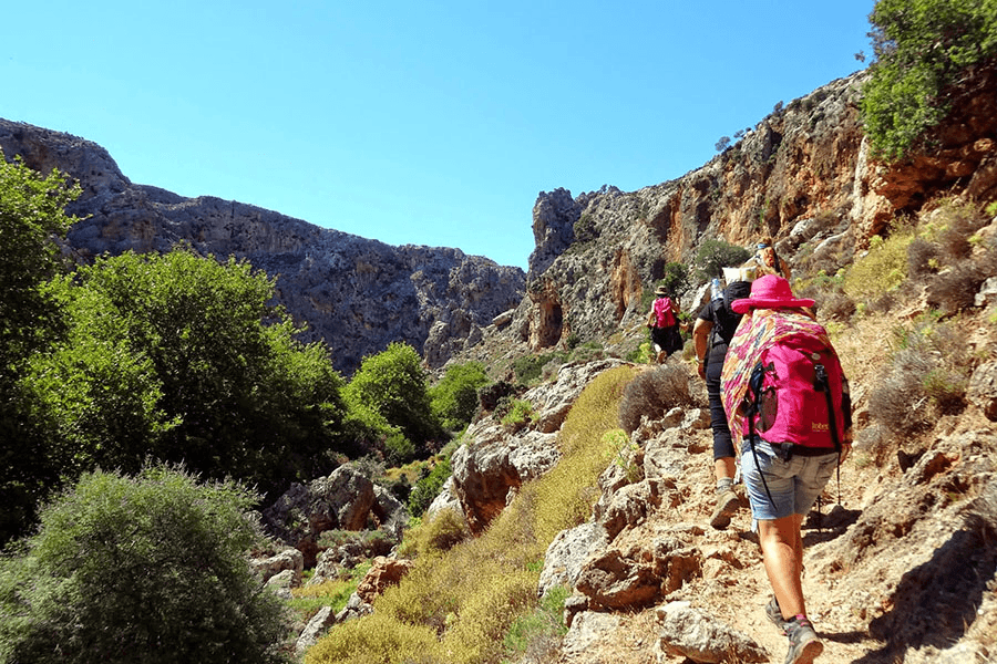 Gorge of the dead